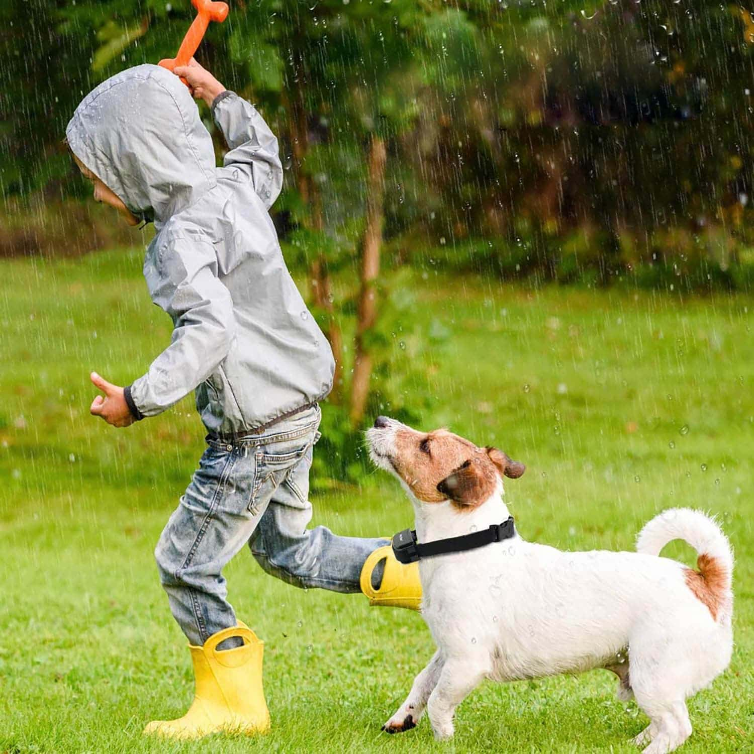 Fernbedienung 300m Wasserdichter und Wiederaufladbares Erziehungshalsbänder Für Hund